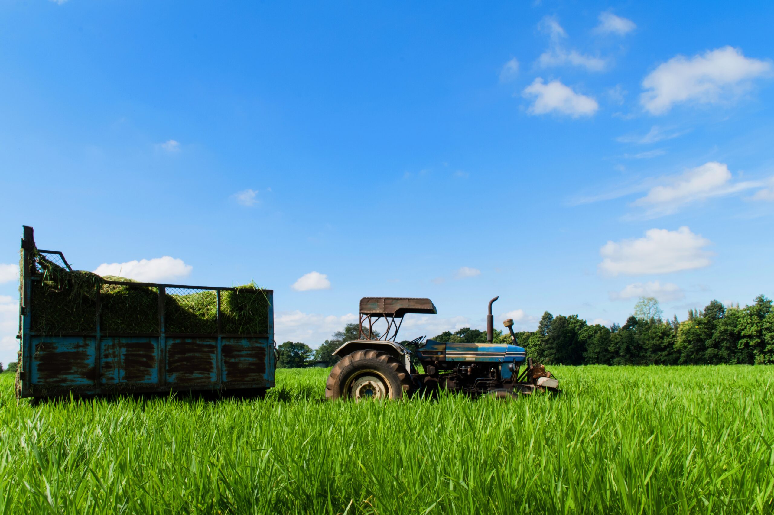 Agriculture and Forestry 2