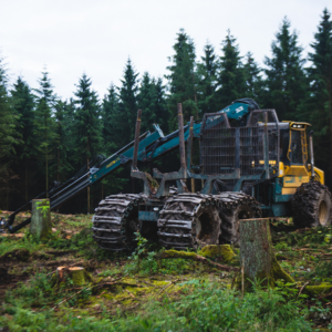 Agriculture & Forestry