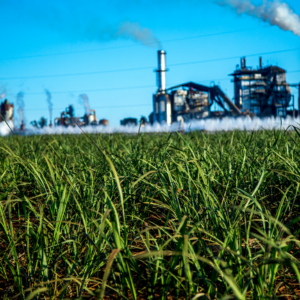 Sugar Processing Industry